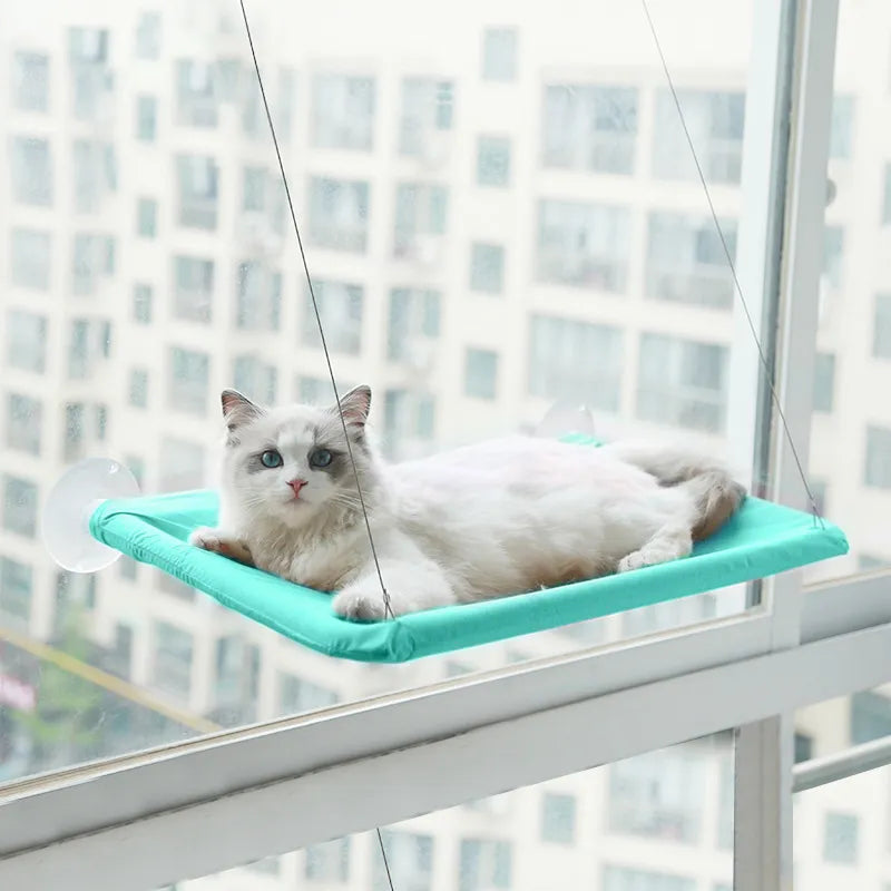 Cat Hammock