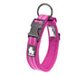 Colorful Dog Collar