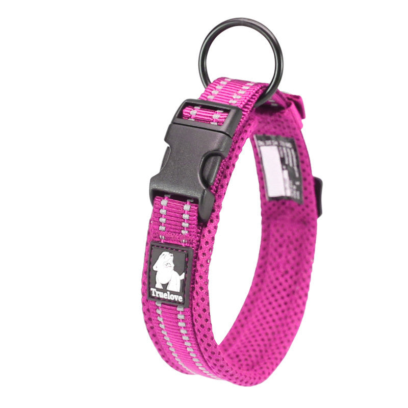 Colorful Dog Collar