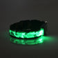 Luminous Dog Collar