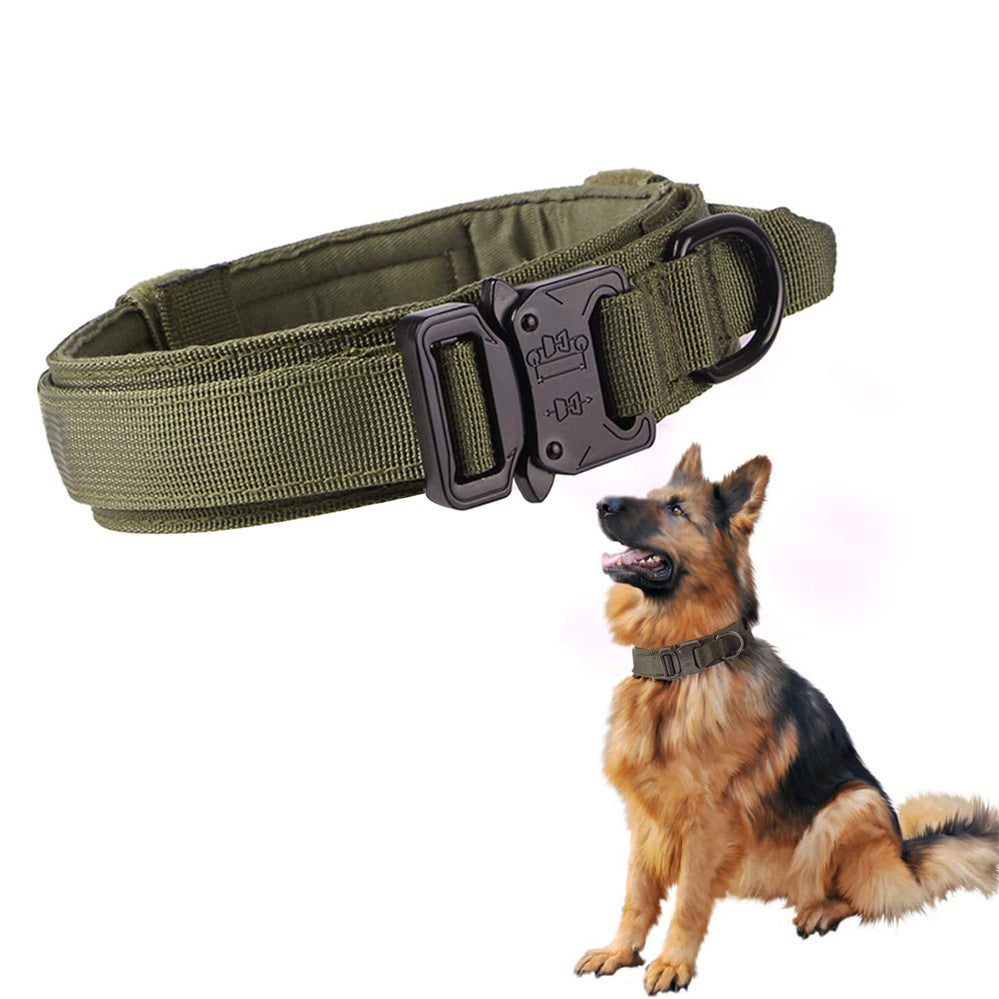 Pet Collar