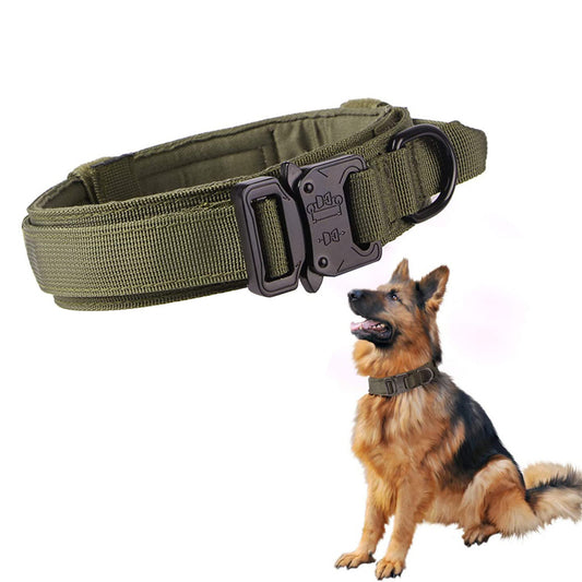 Nylon Dog Collar