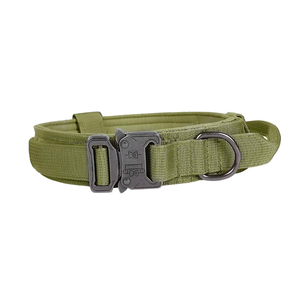 Nylon Dog Collar