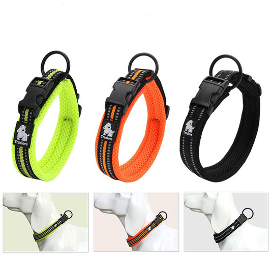 Colorful Dog Collar