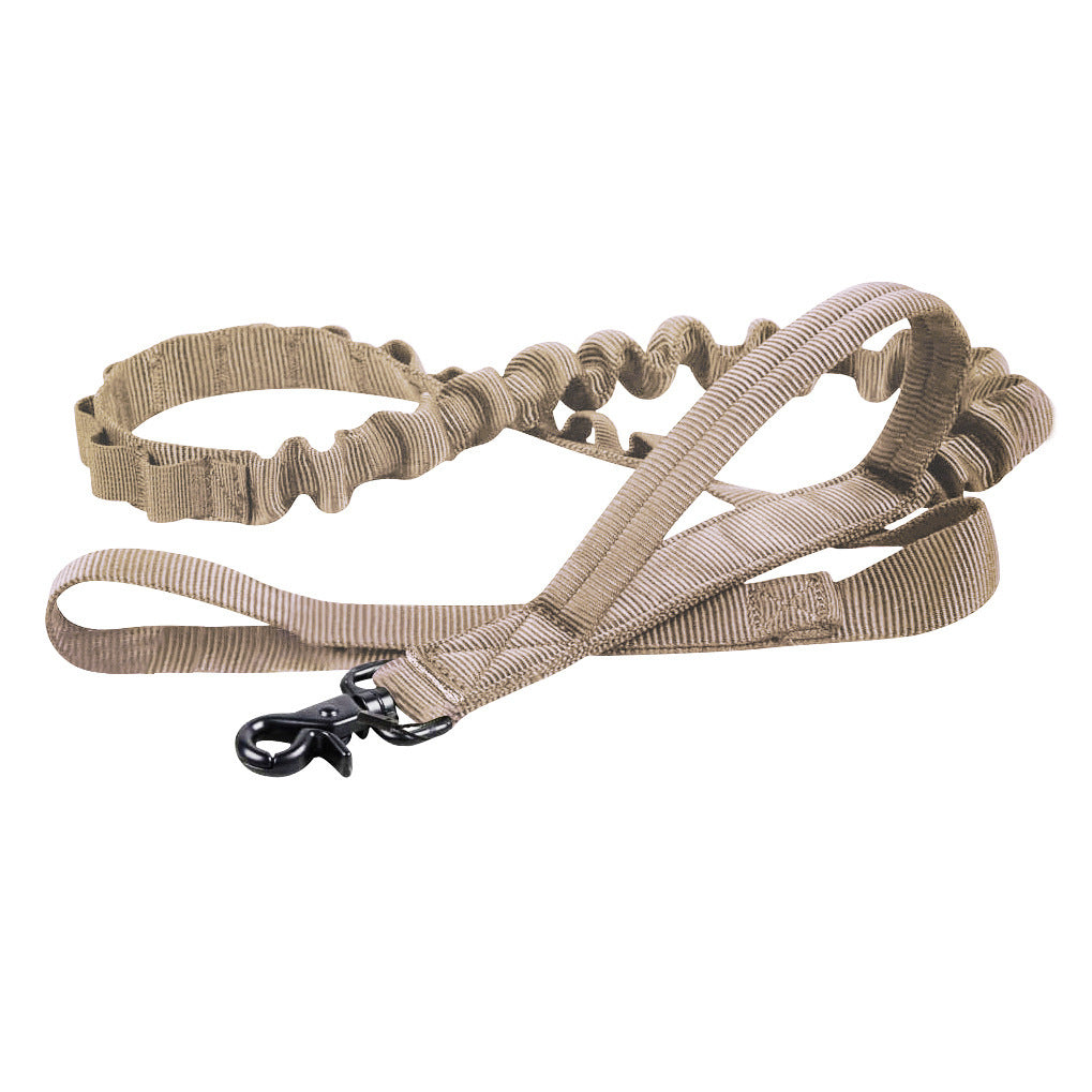 Nylon Dog Collar