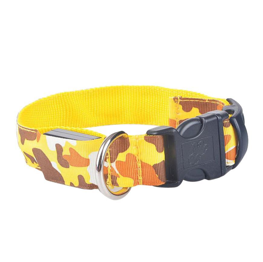 Luminous Dog Collar