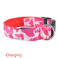 Luminous Dog Collar