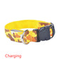 Luminous Dog Collar