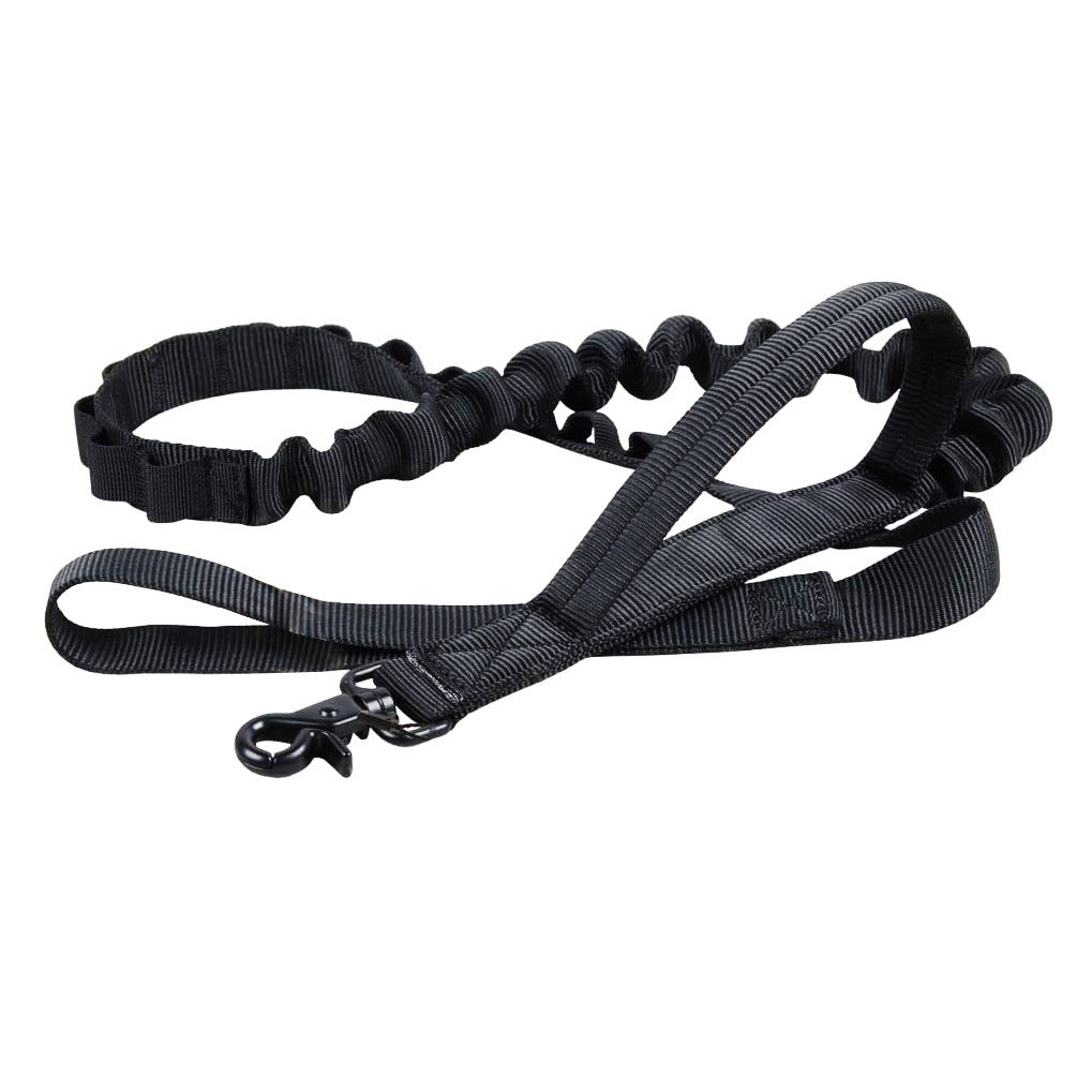 Nylon Dog Collar