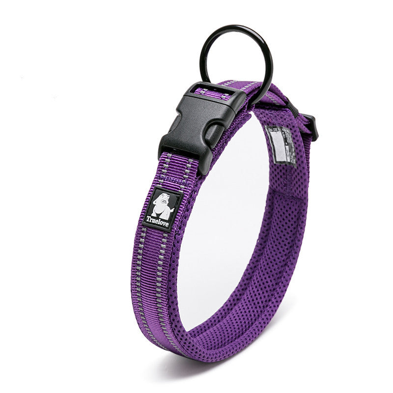 Colorful Dog Collar