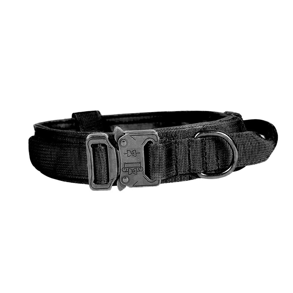 Nylon Dog Collar