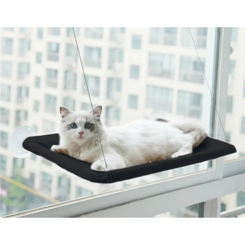 Cat Hammock