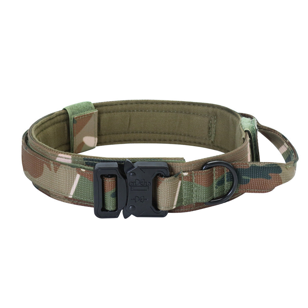 Nylon Dog Collar